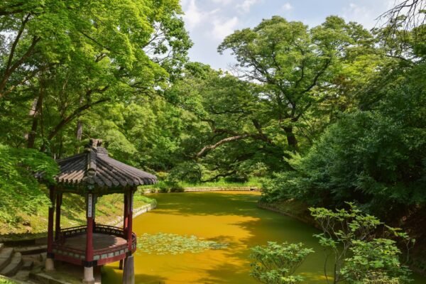 South Korea’s Most Scenic Gardens: A Guide for Nature and Garden Enthusiasts