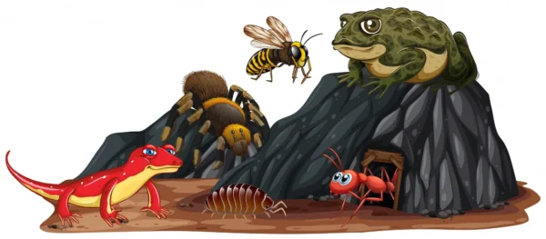 The Rise of “Bugsisdead”: Understanding the Viral Trend of 2023